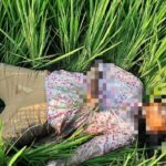 Perempuan di Margorejo Hangus Tersengat Perangkap Tikus