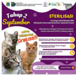 Layanan Sterilisasi Kucing Peliharaan Gratis di Jakarta Berlangsung 10 Hari