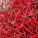Harga Cabai di Pati Mulai Sentuh Rp60 ribu per Kilogram