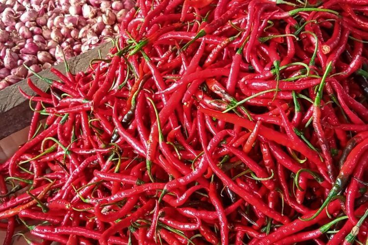Harga Cabai di Pati Mulai Sentuh Rp60 ribu per Kilogram