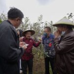 Produktivitas Apel di Kota Batu Mulai Berkurang