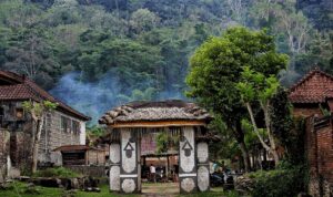 RUU Konservasi Perlu Belajar dari Pengelolaan Hutan Adat Tenganan Pegringsingan