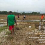 Irigasi Tanah Dangkal Bantu Petani Atasi Kekurangan Air
