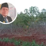 Pupuk Non Subsidi Makin Mahal, Dewan Dorong Pemkab Pati Gelontorkan Insentif