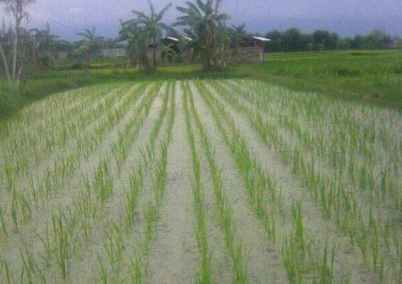 Krisis Pangan Dan Energi Dunia, Bupati Rembang Minta Masyarakat Lebih Waspada