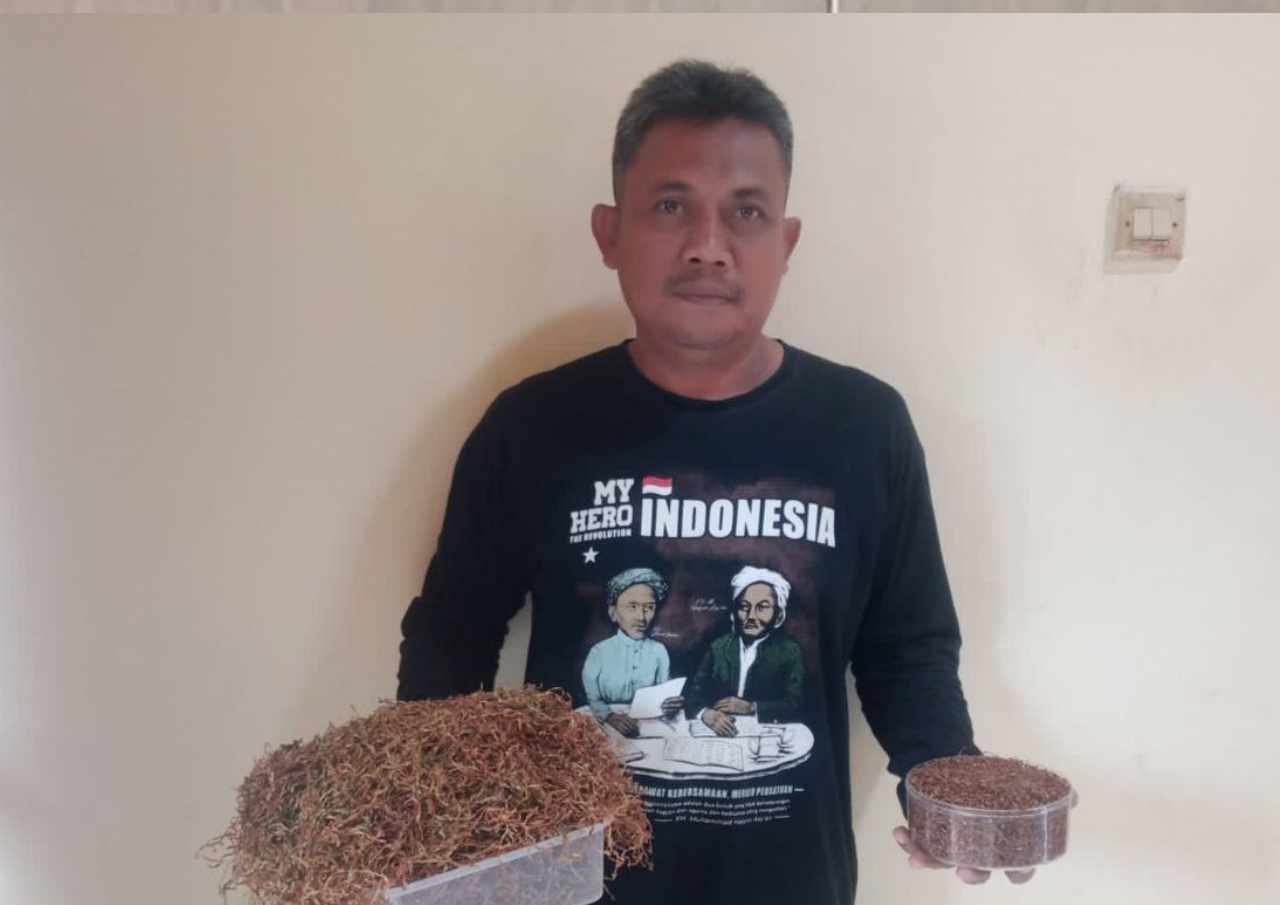 Foto: Wawan Edi Susanto petani asal Desa Pinggan, Kecamatan Bulu saat menunjukkan tembakau miliknya/palevioletred-jellyfish-458835.hostingersite.com/Sri Lestari