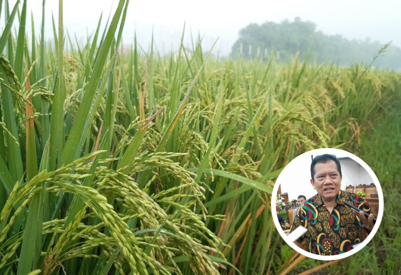 Komisi B Sarankan Gandeng LP2S untuk Tingkatkan Pertanian di Sukolilo