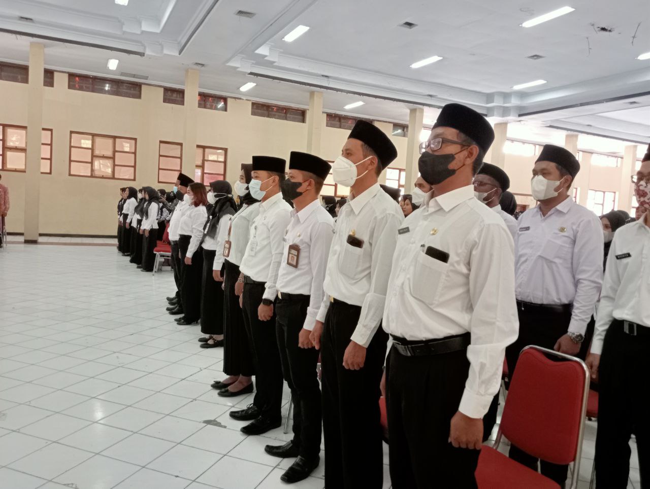 seleksi-cpns-dipastikan-ada-tahun-2023-mendatang-simak-informasinya