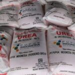 Harga Pupuk non Subsidi Masih 5 Kali Lipat Pupuk Subsidi