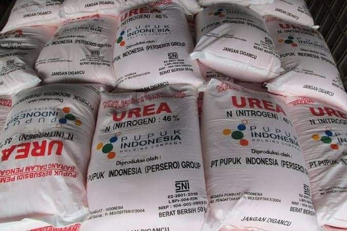Harga Pupuk non Subsidi Masih 5 Kali Lipat Pupuk Subsidi