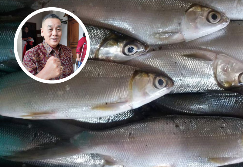 Komisi B Ajak Masyarakat Gemar Konsumsi Ikan