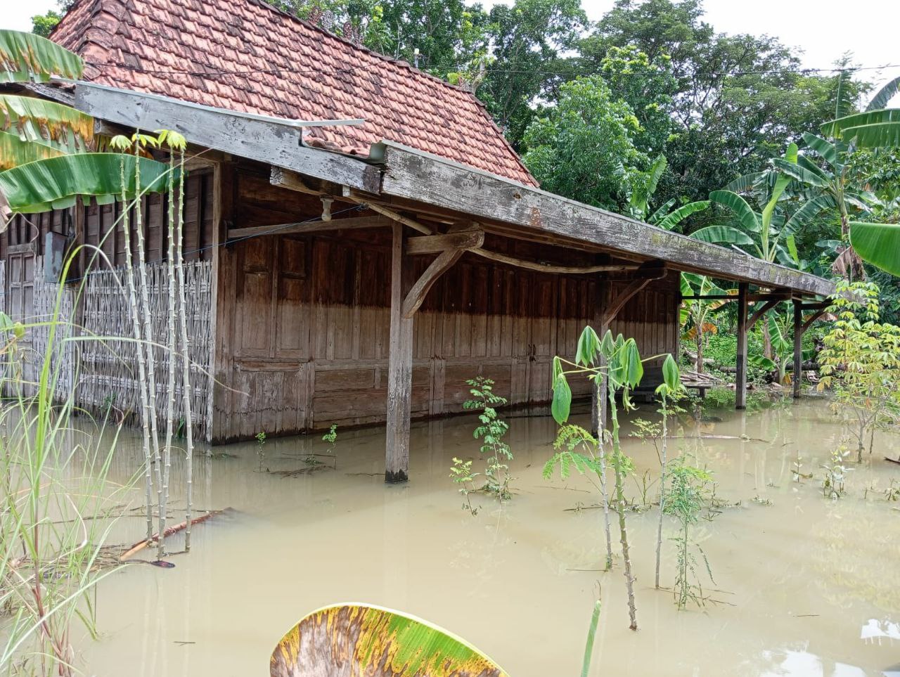 Belum dapat Bantuan dari Pemerintah, 3 Rumah di Gunungpanti Urung Diperbaiki