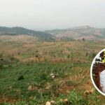 Akselerasi Penghijauan Kendeng, Pemkab Pati Terapkan Sistem Wanatani