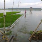 Petani Kurang Minati Bantuan Asuransi dari Dispertan