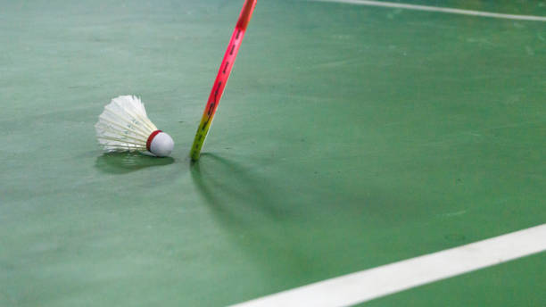Ahsan/Hendra Berhasil Kalahkan Jepang, Sorak Penonton Jadi Penyemangat/iStock