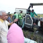 Masa Panen Raya, Petani Milenial Diajak Genjot Produktivitas Padi