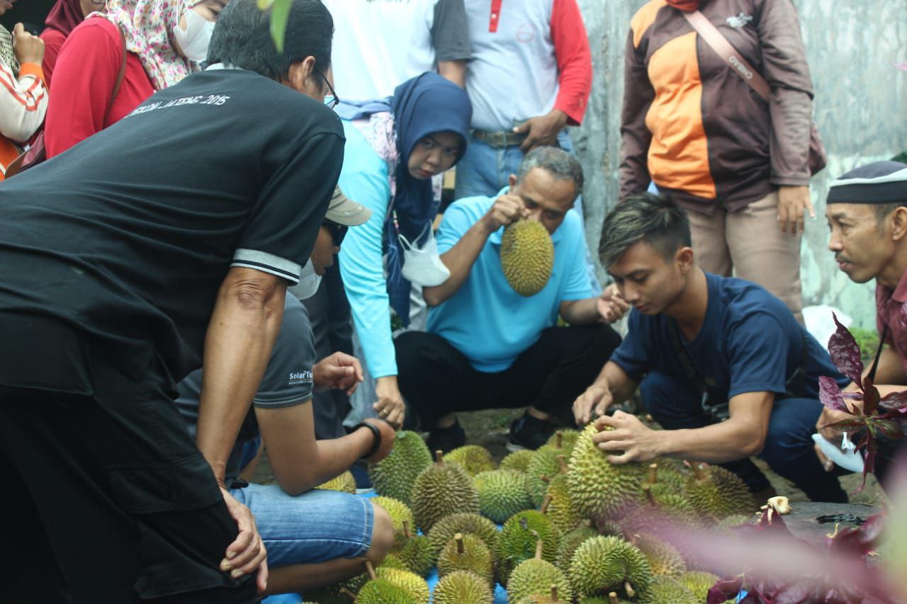 Foto: Antuasias Pembeli memilih buah durian/palevioletred-jellyfish-458835.hostingersite.com/Istimewa