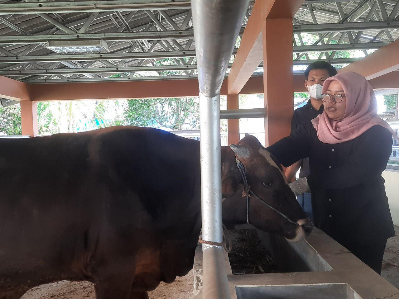 Dispertan Pati Cek Kesehatan Hewan Kurban di Sejumlah Titik