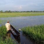 5.400 Sawah Korban Puso di Pati Diajukan dapat Bantuan Insentif dari BNPB