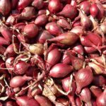 Foto: Ilustrasi bawang merah (Sumber: pixabay)