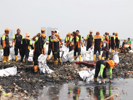 500 Personel Gabungan Kembali Diterjunkan, Bersihkan Kawasan Hutan Mangrove Muara Angke