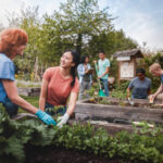 berkebun