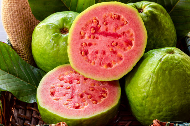 jambu biji