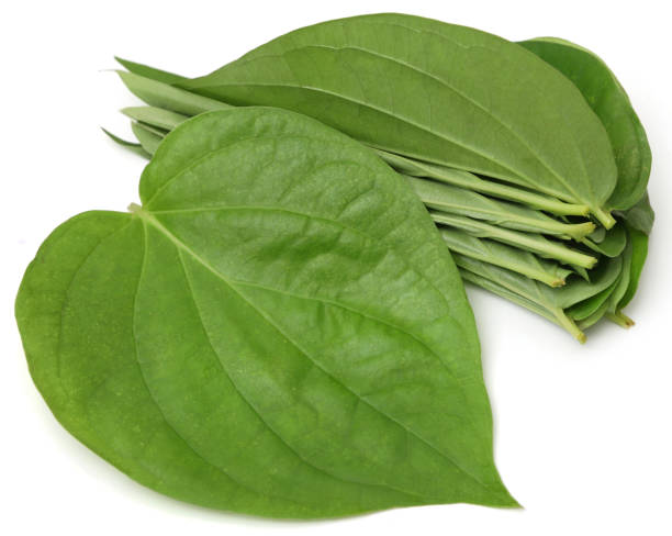 daun sirih