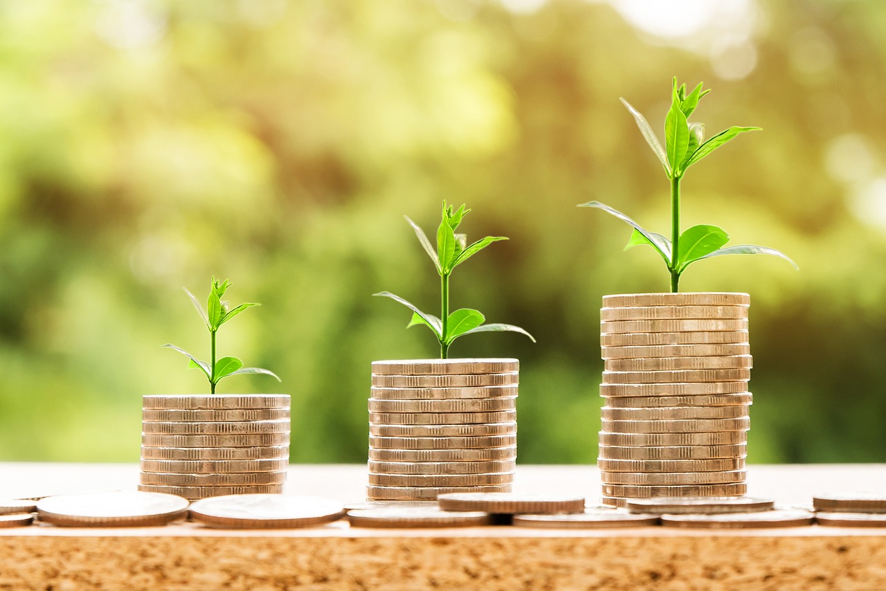 Foto: Ilustrasi investasi (Sumber: pixabay)