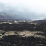 Penyebab Kebakaran Savana Alun-alun Suryakencana Masih Diselidiki, Diduga Ulah Manusia