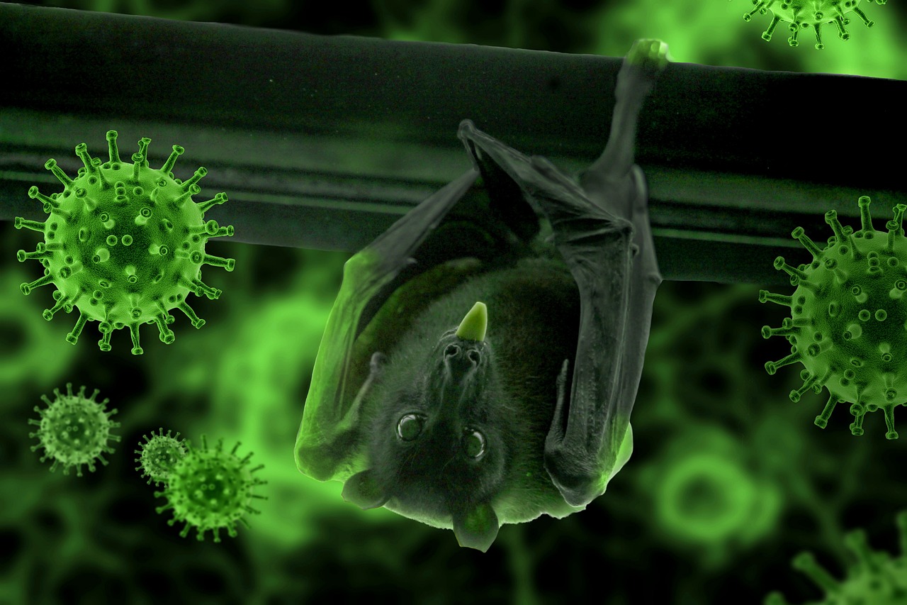Foto: Ilustrasi virus Nipah (Sumber: pixabay)