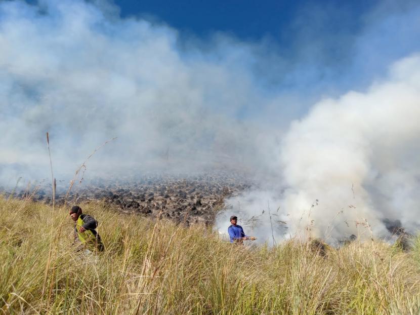 Foto: Kebakaran di Bromo (Sumber: istimewa)