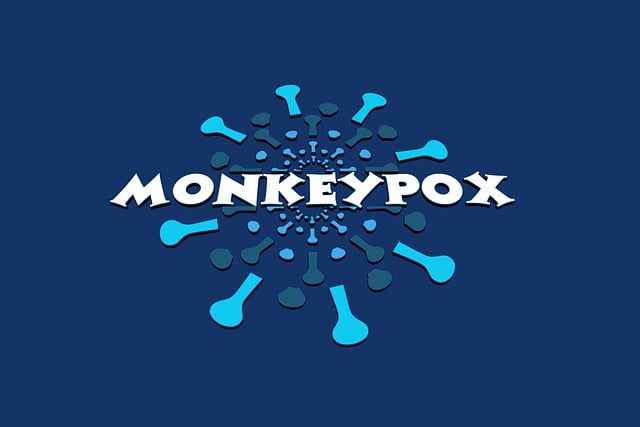Foto: Ilustrasi cacar monyet (Sumber: pixabay)