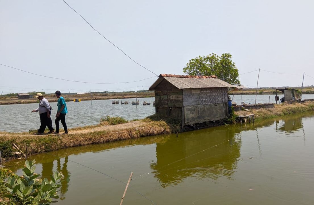nila salin