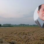 Foto : Ilustrasi lahan kekeringan (Putri Asia / Mitrapost)
