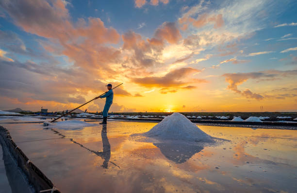 Foto: Ilustrasi petani garam (Sumber: istock)