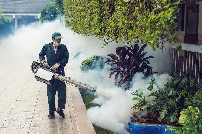 Foto : Ilustrasi pemberantasan dan pencegahan DBD dengan fogging (Sumber : Istimewa)