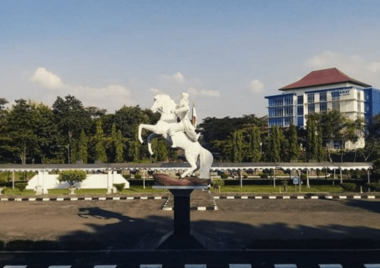 undip