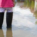 Foto: Ilustrasi banjir (Sumber: istock)