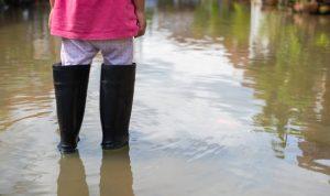 Foto: Ilustrasi banjir (Sumber: istock)
