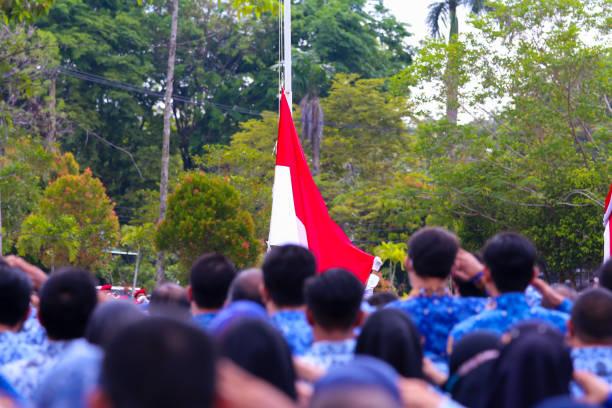 PNS