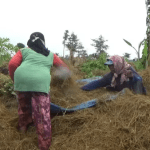 Warga Demak