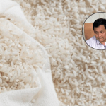 harga pangan