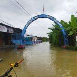 Foto : Ruas Jalan Desa Bungasrejo, Kecamatan Jakenan Kabupaten Pati (Dok. palevioletred-jellyfish-458835.hostingersite.com/Ilham)
