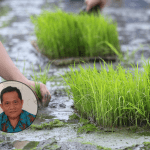 petani