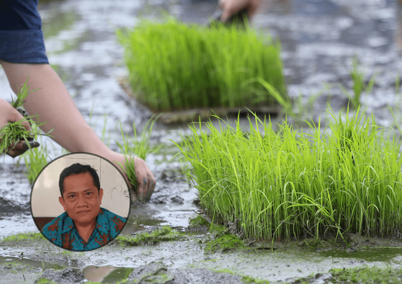 petani