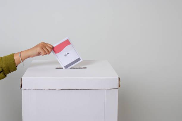 Foto: Ilustrasi Pemilu (Sumber: istock)