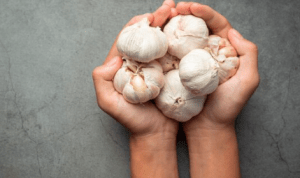 bawang putih