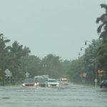 Foto: Ilustrasi banjir (Sumber: istock)
