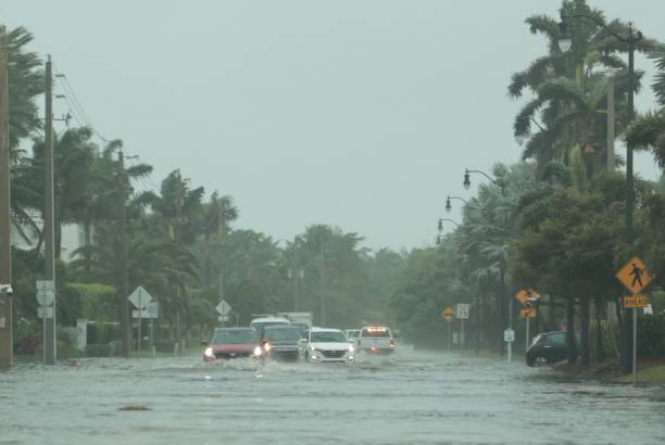 Foto: Ilustrasi banjir (Sumber: istock)